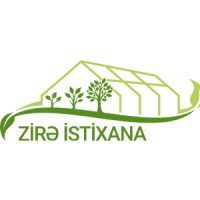 ZİRE-r3tyjgcet4h5z7qt5nemphb7igclesuo94d82bqgnk